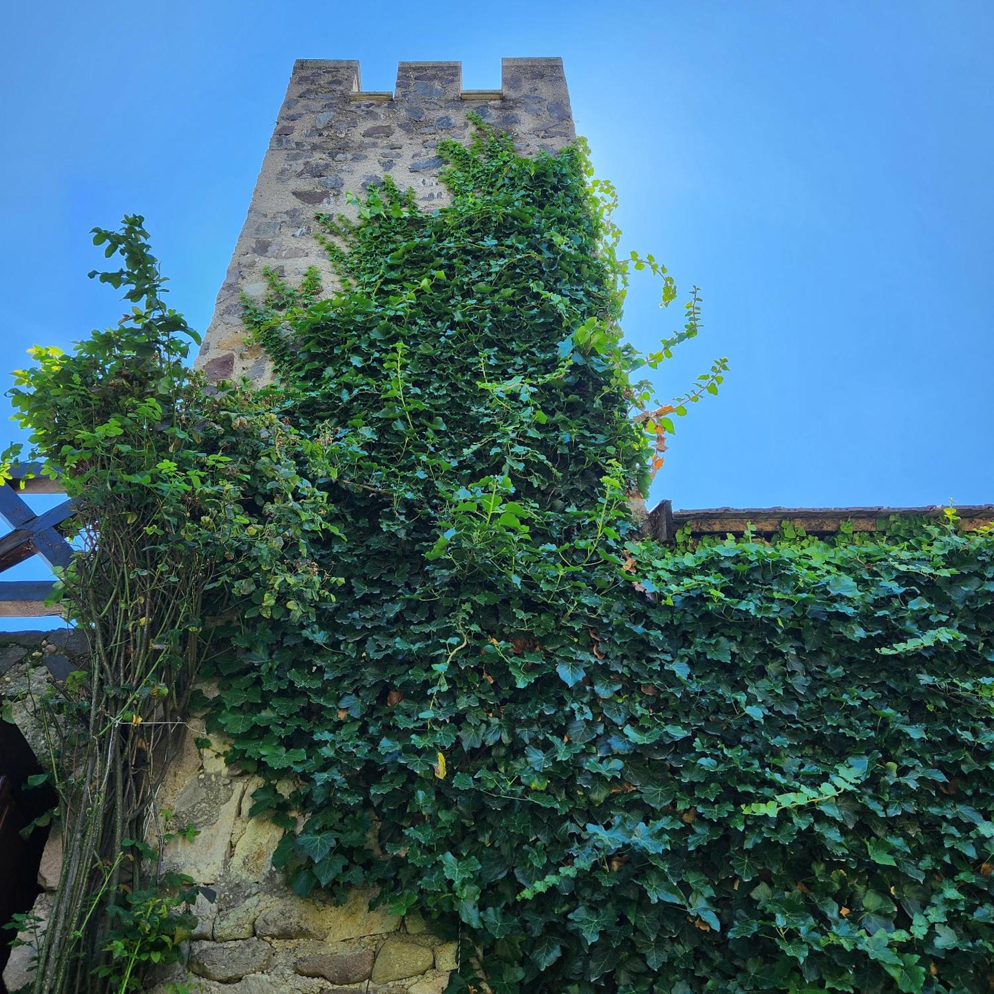Facan-Lak Nograd Exterior photo