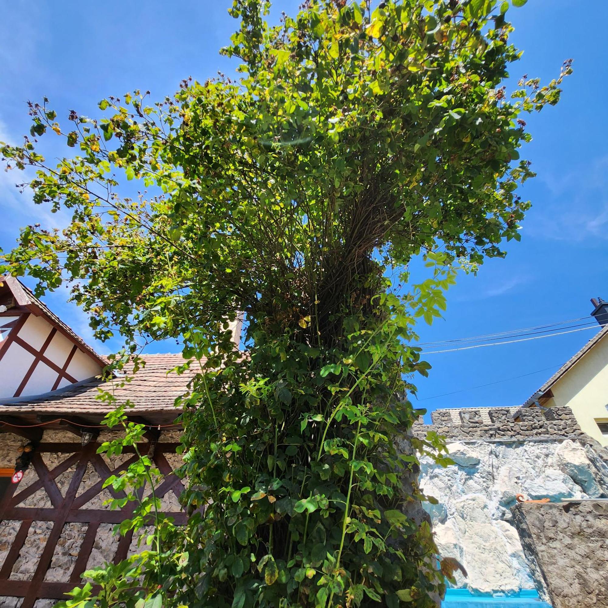 Facan-Lak Nograd Exterior photo